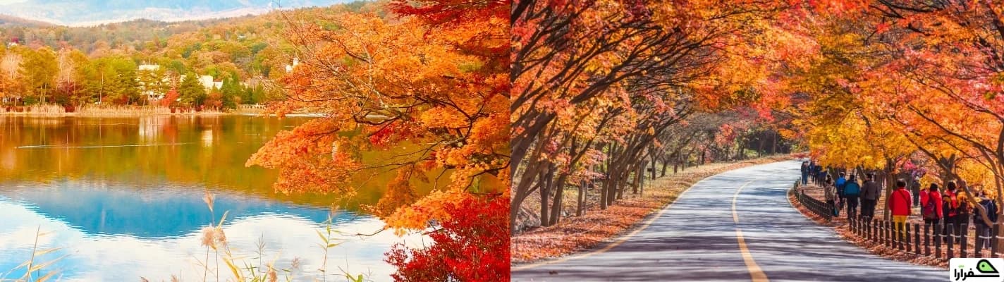 تفاوت سفر به ژاپن و کره جنوبی؛ کدام مقصد برای شما مناسب‌تر است؟